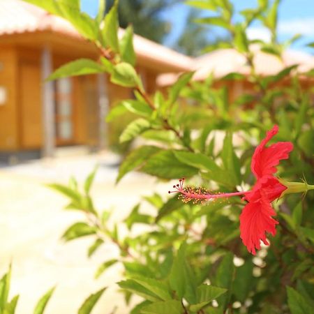 Tabinoteitaku Okinawa Nakijin Homann Concept Villa Exterior photo