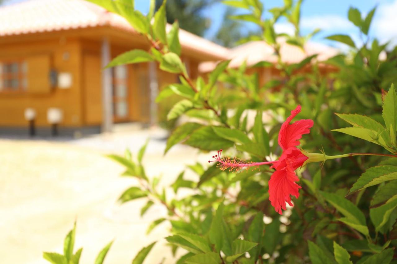 Tabinoteitaku Okinawa Nakijin Homann Concept Villa Exterior photo